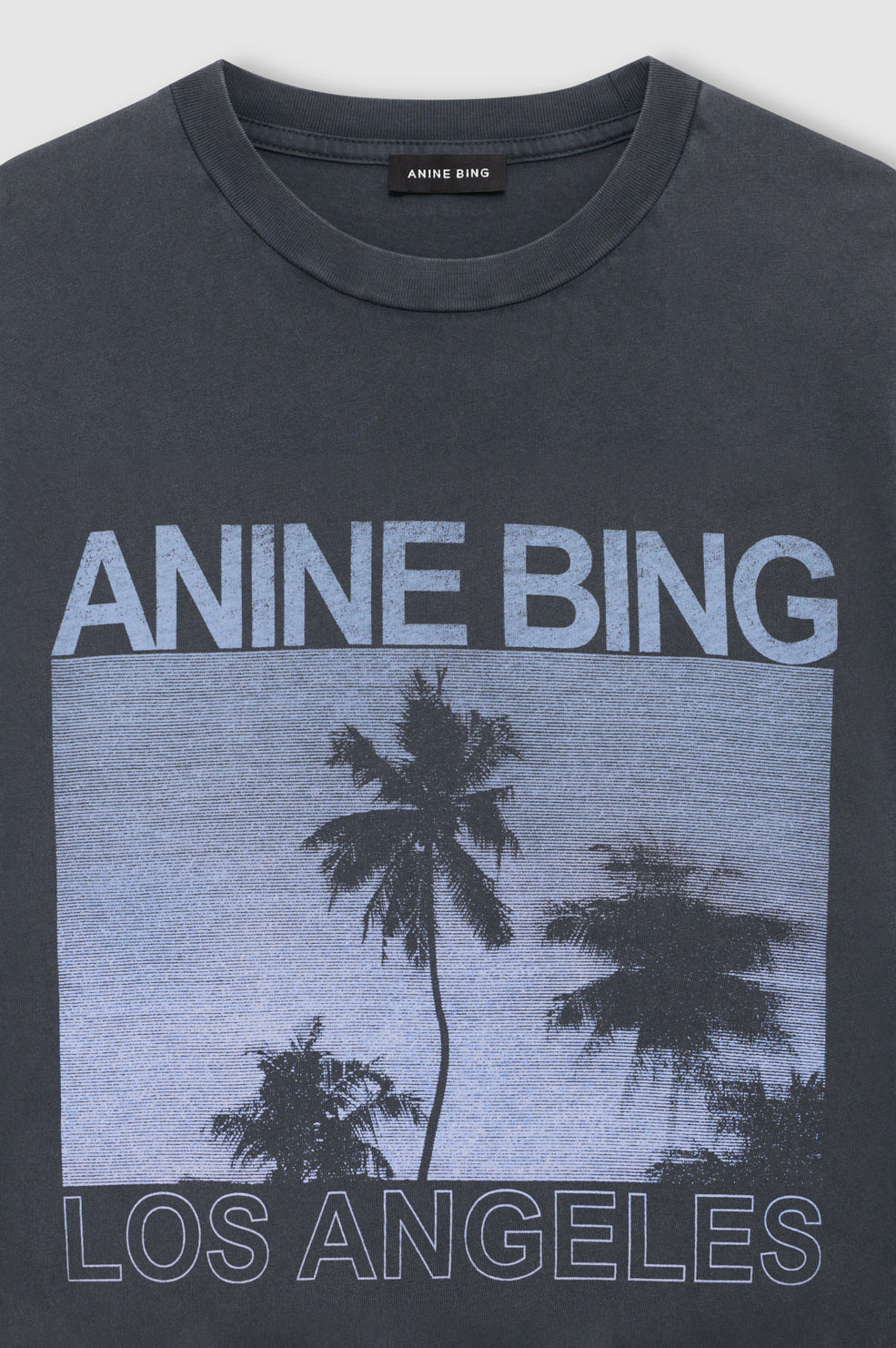 Anine Bing | Cade Tee Palms - Washed Grey