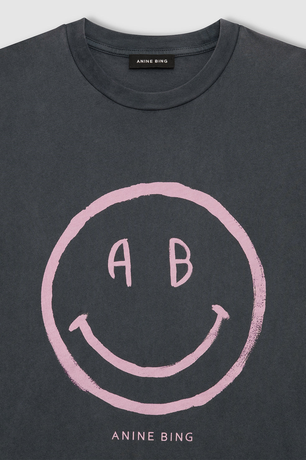 Anine Bing | Cade Tee Smiley - Washed Grey