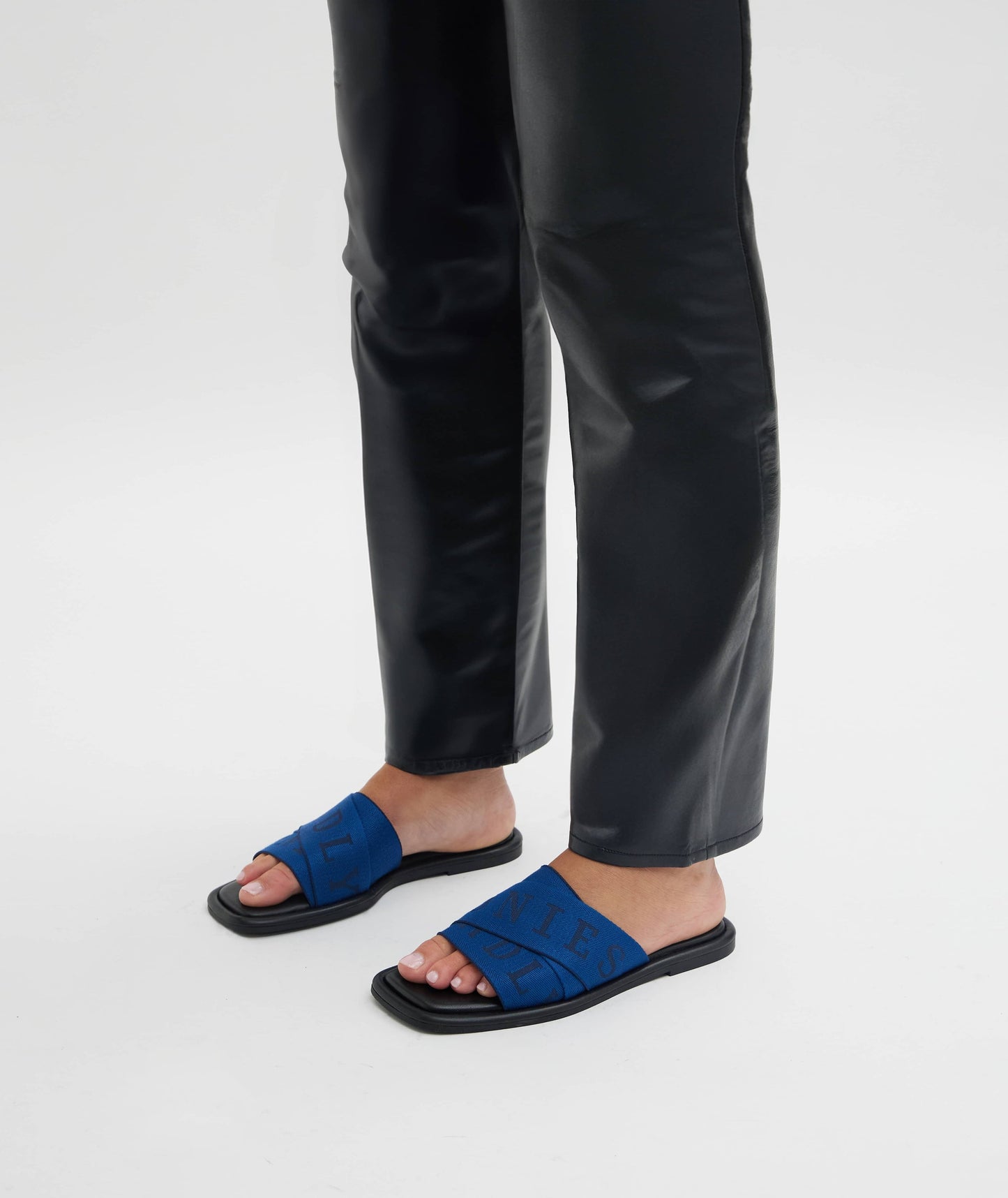 Deadly Ponies | Logomania Slide - Rockpool