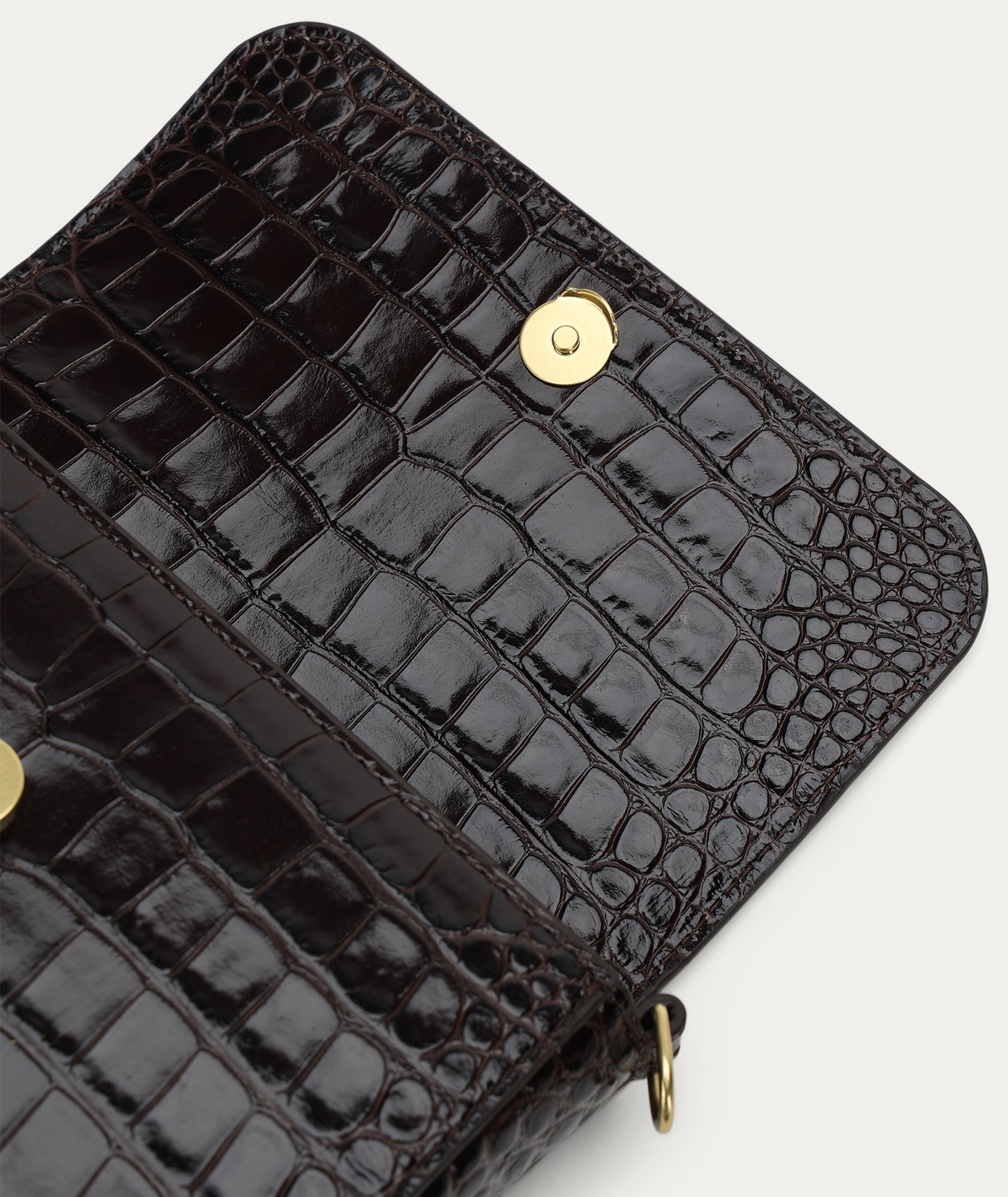 Deadly Ponies | Mr D-Rex - Espresso Croc