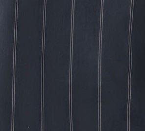 St Agni | Stripe Relaxed Pleat Pants - Ink Stripe