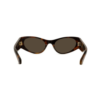 Loewe | Signature Cat Eye - Dark Havana / Brown