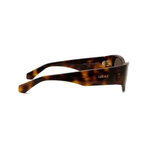 Loewe | Signature Cat Eye - Dark Havana / Brown