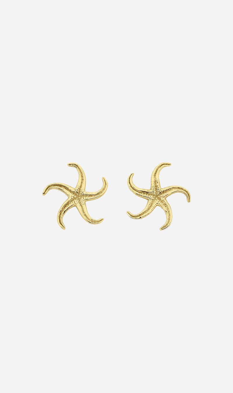 Zoe & Morgan | Starfish Earrings - Gold