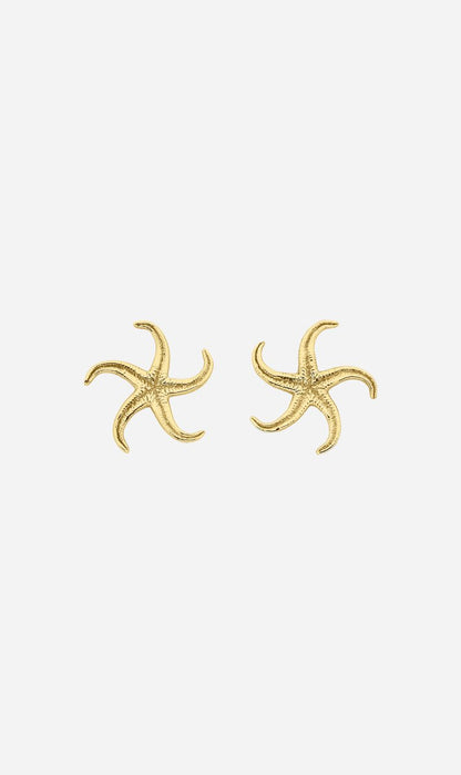 Zoe & Morgan | Starfish Earrings - Gold