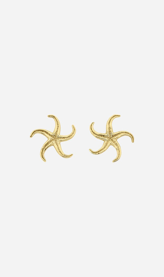 Zoe & Morgan | Starfish Earrings - Gold