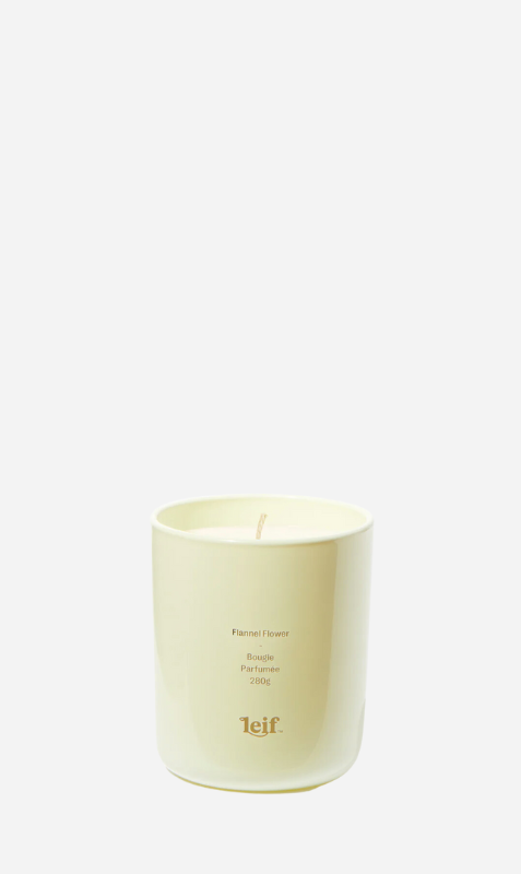 Leif | Flannel Flower Candle - 280g