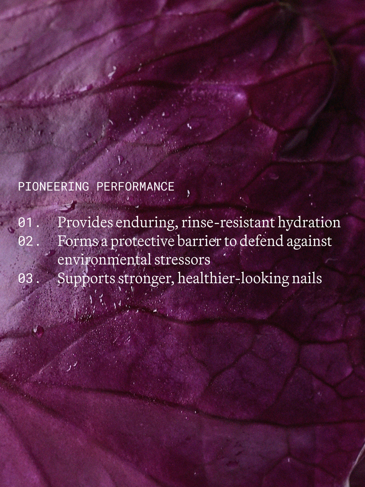 Emma Lewisham | Capsule Hand & Nail Creme