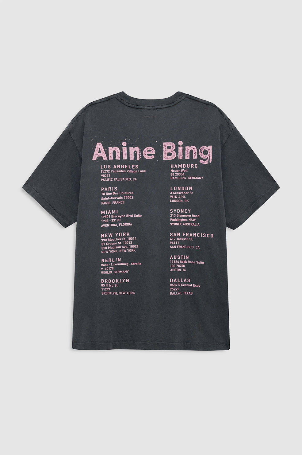 Anine Bing | Cade Tee Smiley - Washed Grey