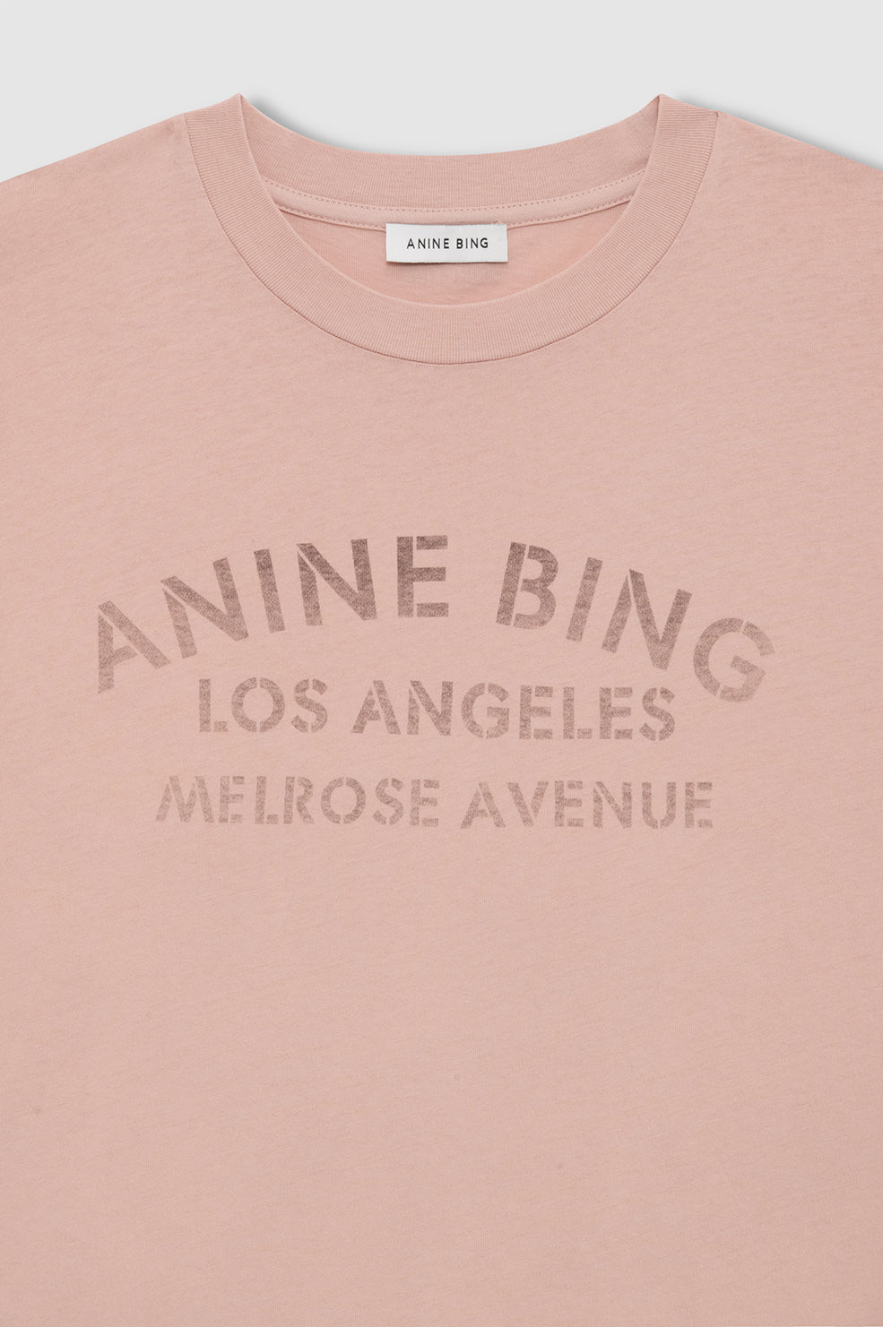 Anine Bing | Ivan Long Sleeve Melrose Stencil - Washed Blushed