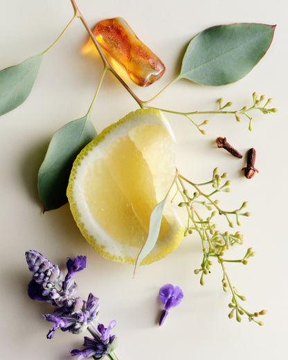 Maison Louis Marie | No.10 Aboukir Candle