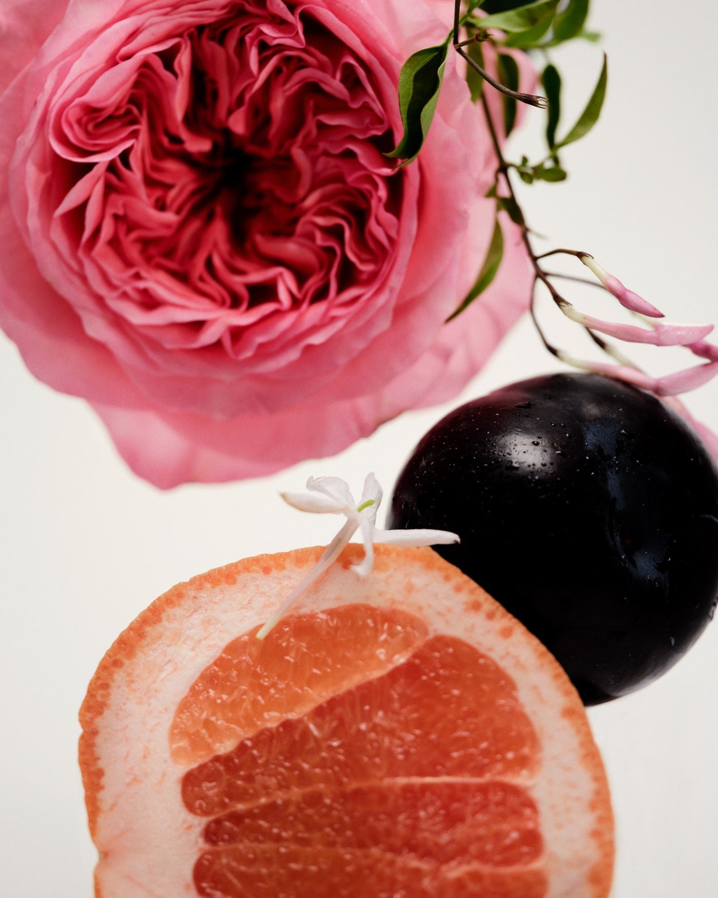 Maison Louis Marie | No.14 Icila Candle