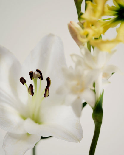 Maison Louis Marie | No.05 Kandili Candle