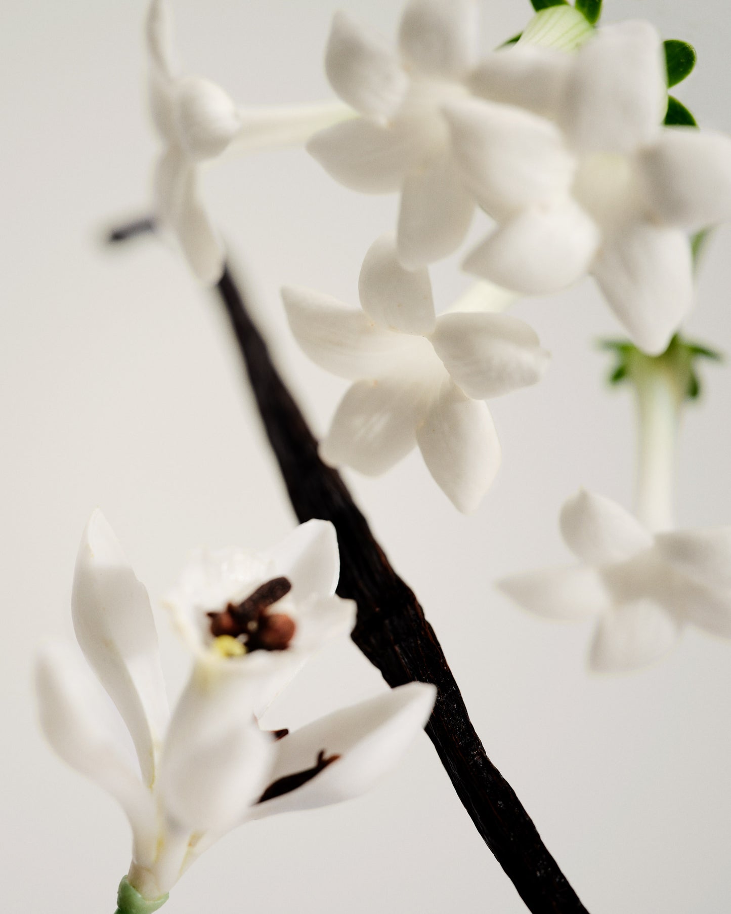 Maison Louis Marie | No.3 L'Etang Noir Candle