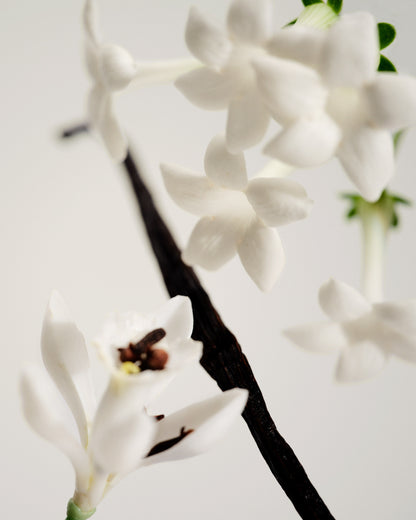 Maison Louis Marie | No.3 L'Etang Noir Candle