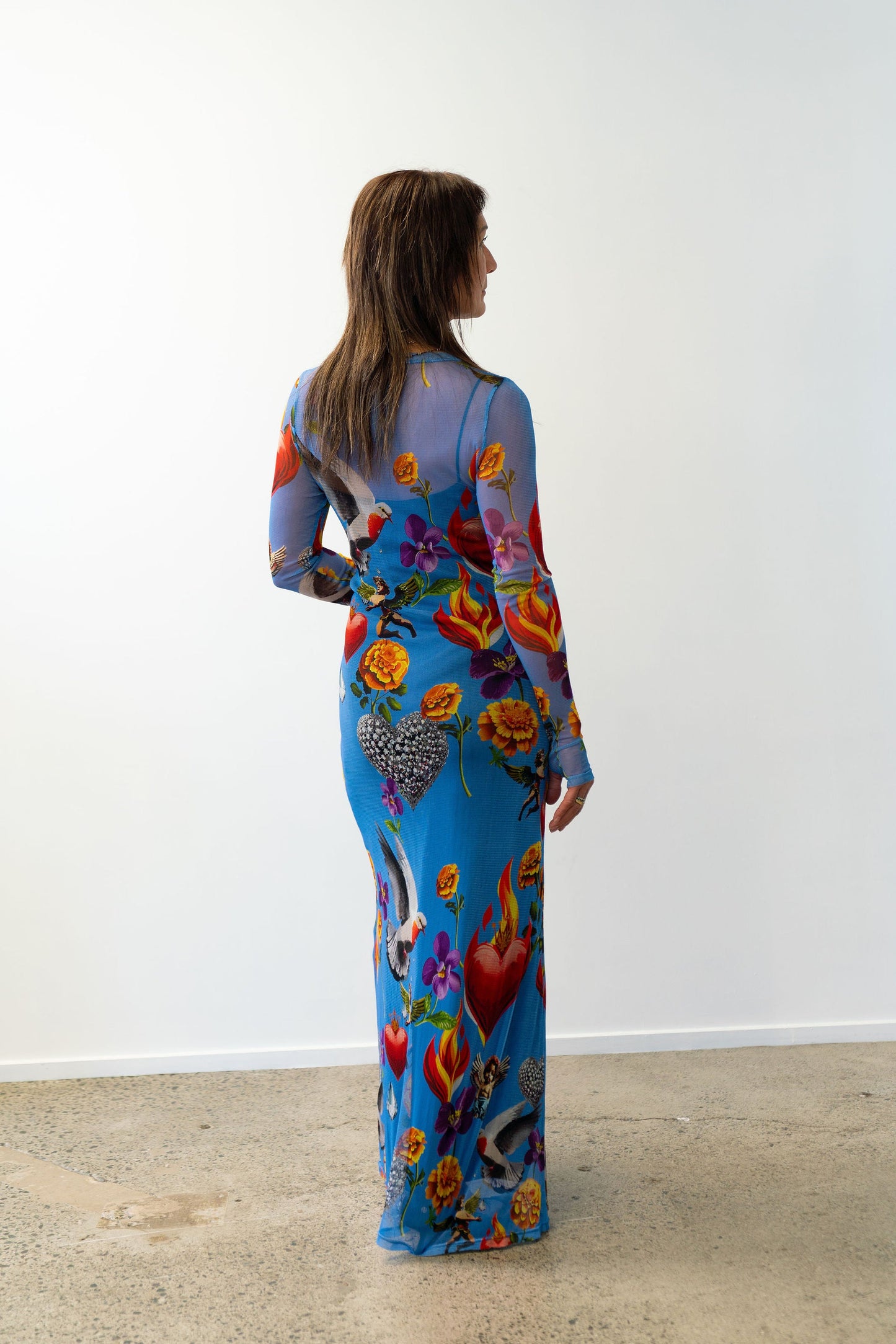 Silk Laundry | Mesh Long Sleeve Dress - Dearly Beloved Mirage