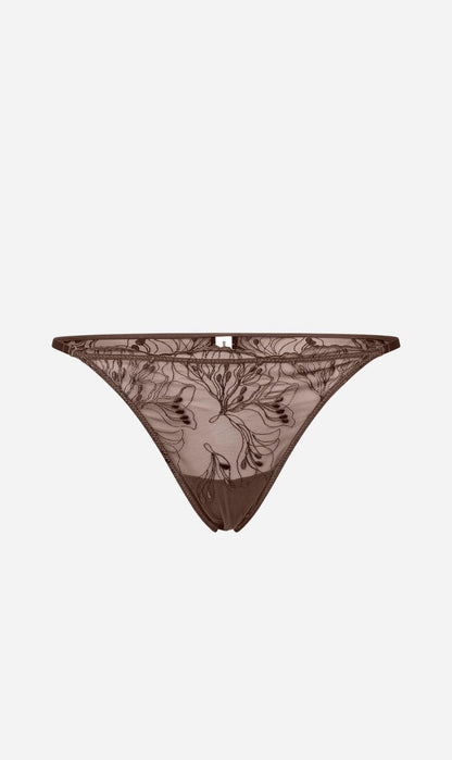 Samsoe Samsoe | Saaudrey Brief - French Roast