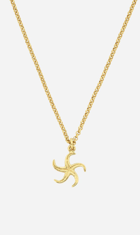 Zoe & Morgan | Starfish Necklace - Gold