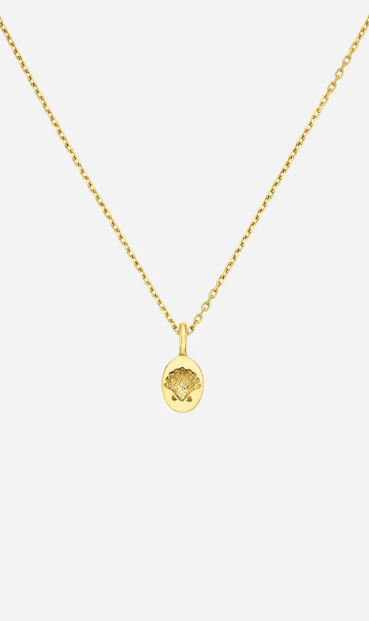 Zoe & Morgan | Secret Society Of Shell Lovers Necklace - Gold