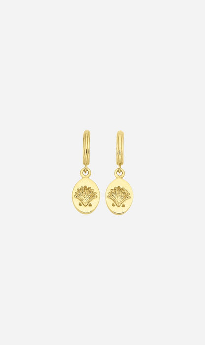 Zoe & Morgan | Secret Society Of Shell Lovers Earrings - Gold