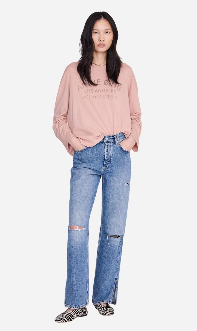 Anine Bing | Ivan Long Sleeve Melrose Stencil - Washed Blushed