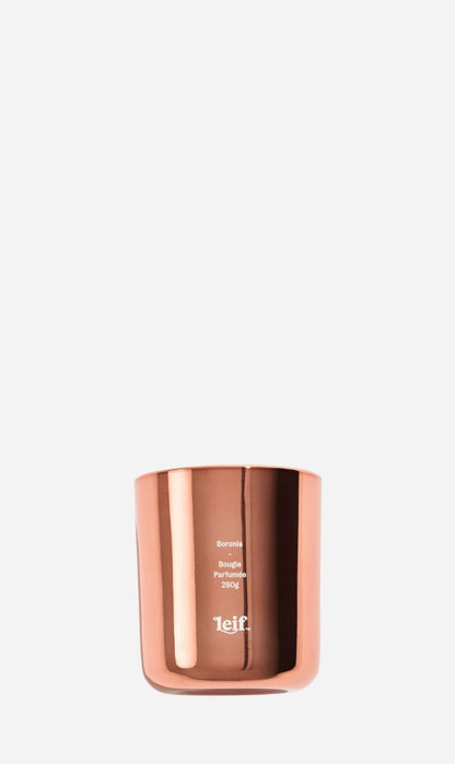 Leif | Limited Luxe Boronia Candle