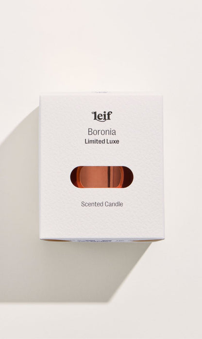 Leif | Limited Luxe Boronia Candle