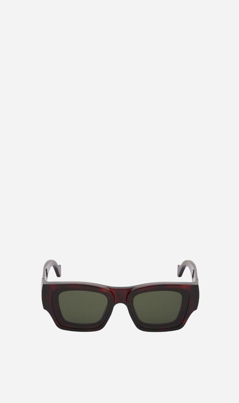 Loewe | Paula's Ibiza Wayfarer - Dark Havana / Green