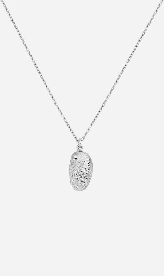 Zoe & Morgan | Soul Paua Necklace - Silver