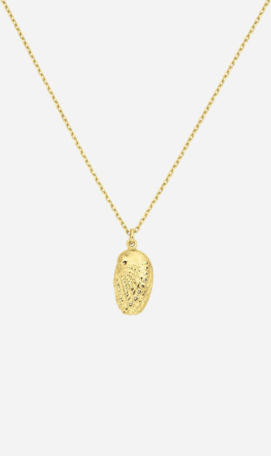Zoe & Morgan | Soul Paua Necklace - Gold
