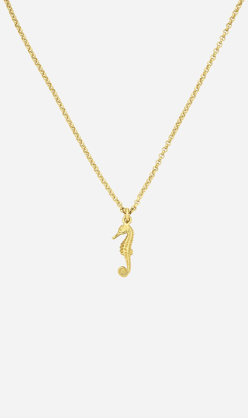 Zoe & Morgan | Seahorse Necklace - Gold