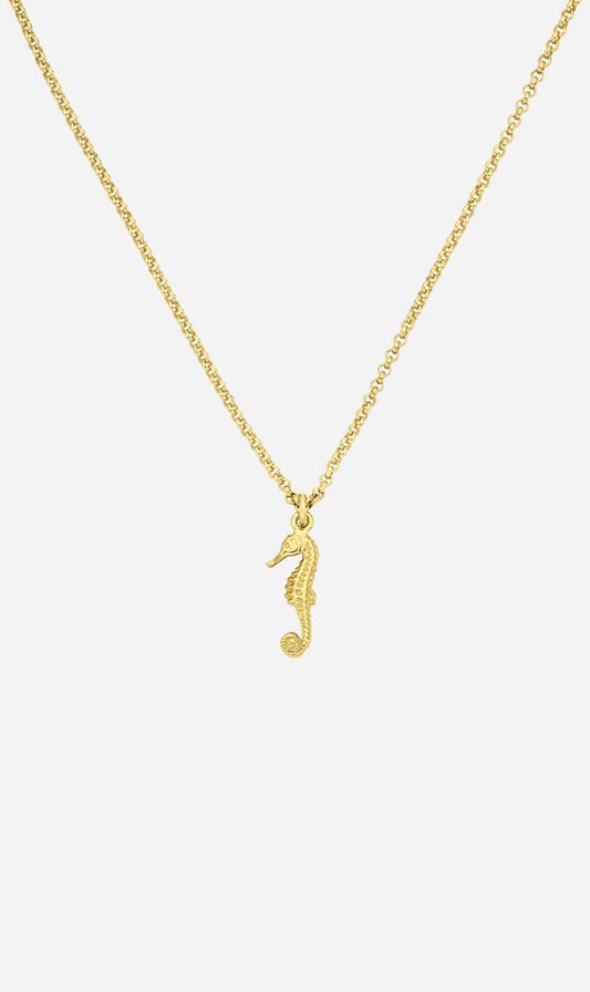Zoe & Morgan | Seahorse Necklace - Gold
