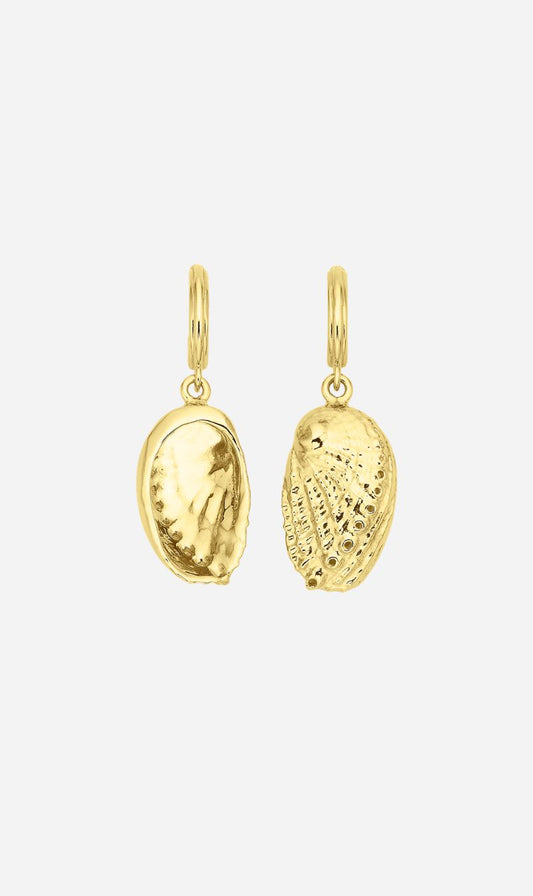 Zoe & Morgan | Soul Paua Earrings - Gold