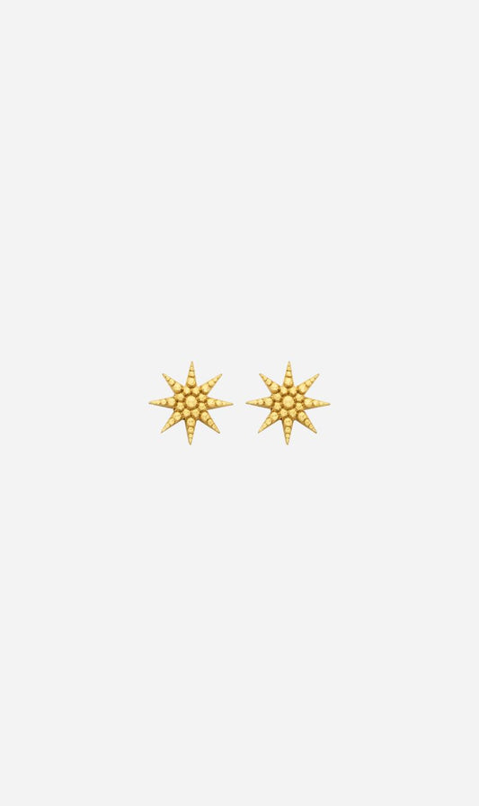 Zoe & Morgan | Morning Star Stud - Gold