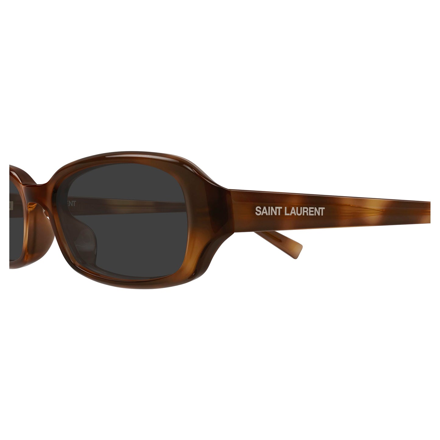 Saint Laurent | SL872ERIN004 - Havana