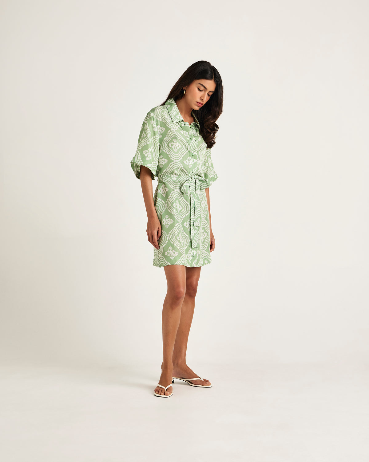 Chameli | Salerno Short Sleeve Mini Dress - Wavy Meadow