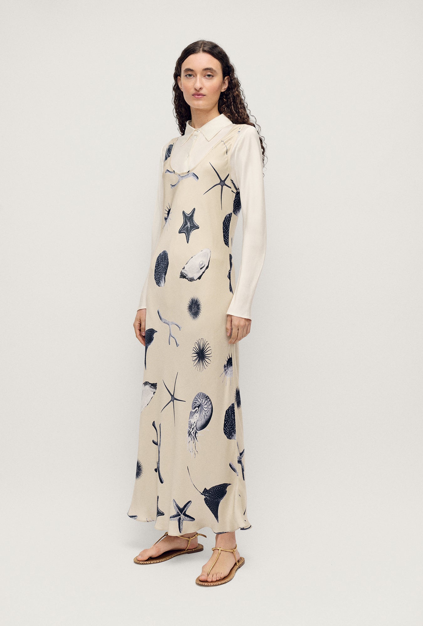 Silk Laundry | Scoop Neck Dress - Seashells