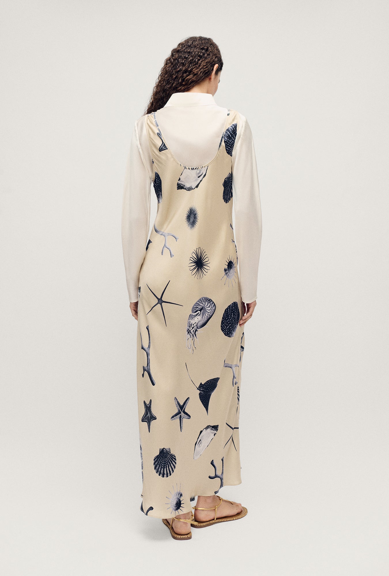 Silk Laundry | Scoop Neck Dress - Seashells