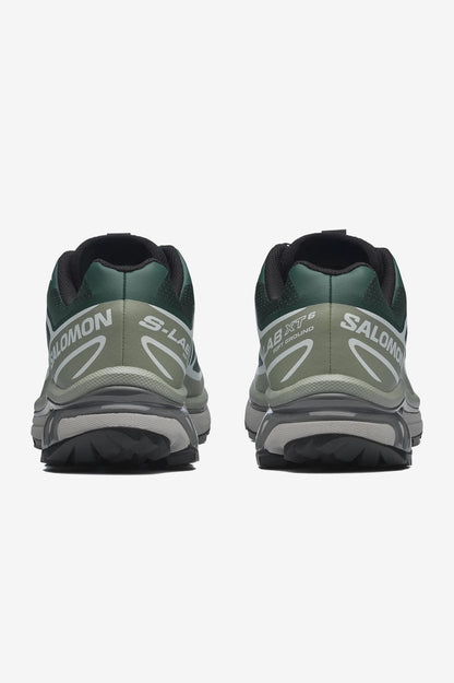 Salomon | XT6 - Bistro Green / Green Milieu / Black
