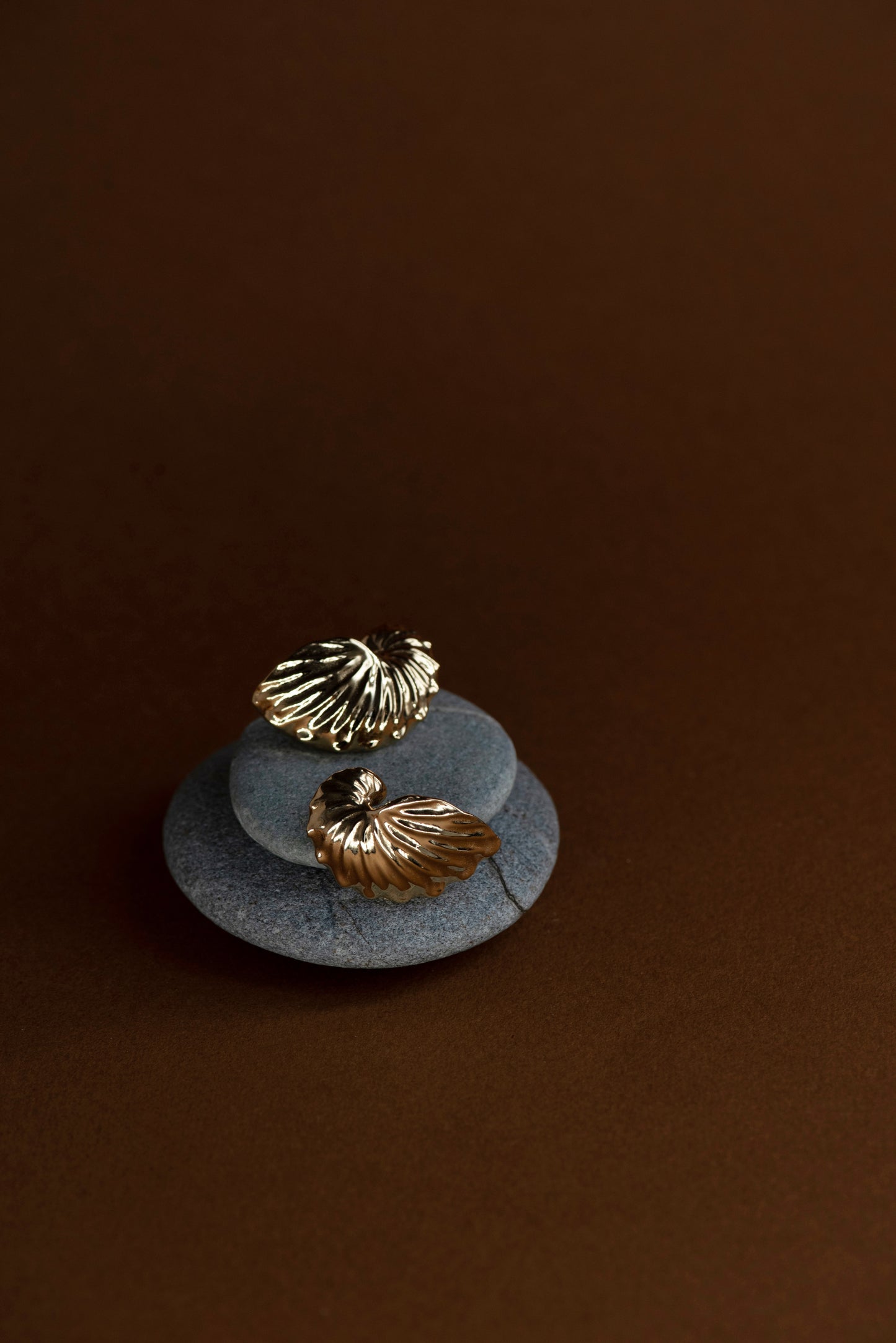 Zoe & Morgan | Paper Nautilus Earrings - Gold Vermeil