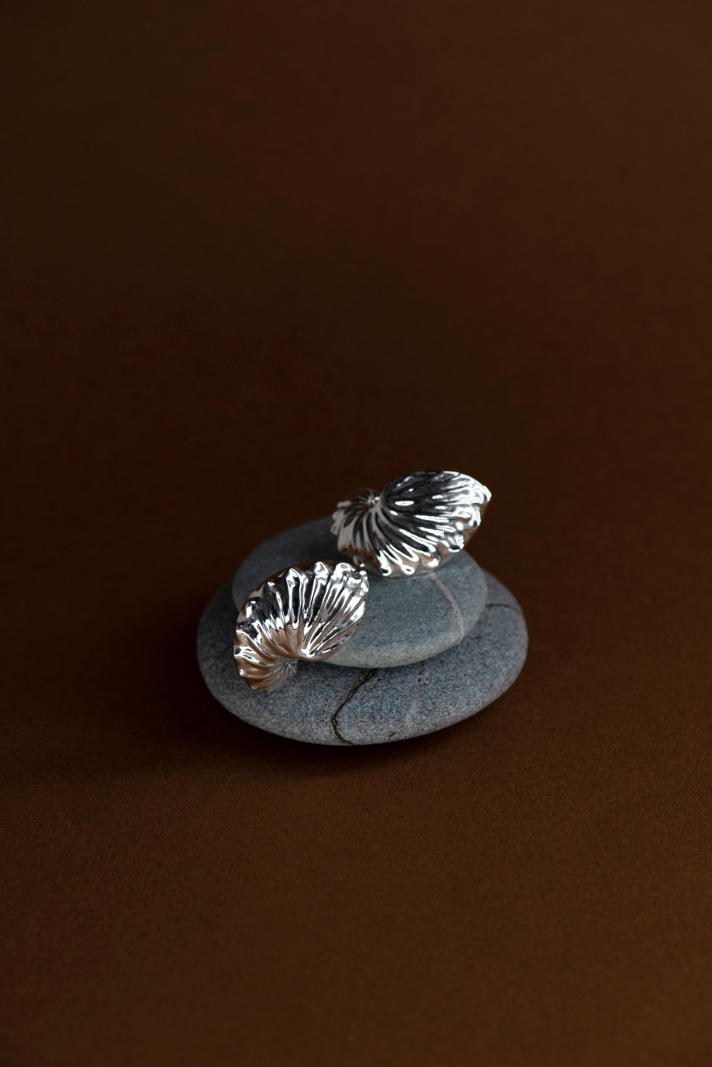 Zoe & Morgan | Paper Nautilus Earrings - Silver