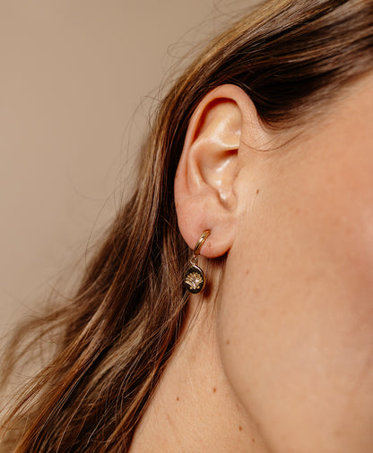 Zoe & Morgan | Secret Society Of Shell Lovers Earrings - Gold