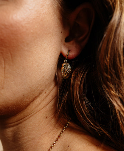 Zoe & Morgan | Soul Paua Earrings - Gold