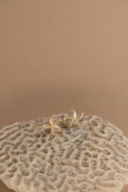 Zoe & Morgan | Starfish Studs - Gold